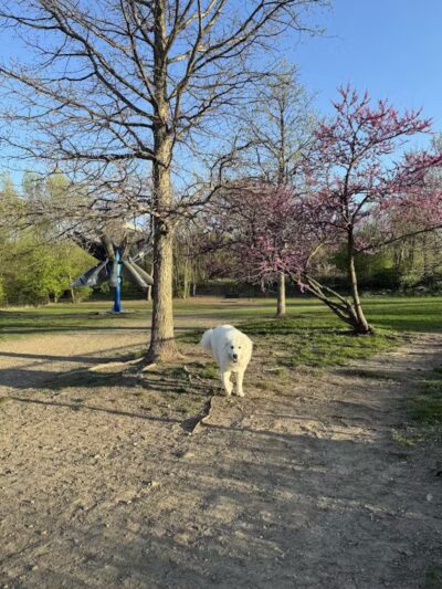 Broadway Park - Ann Arbor,