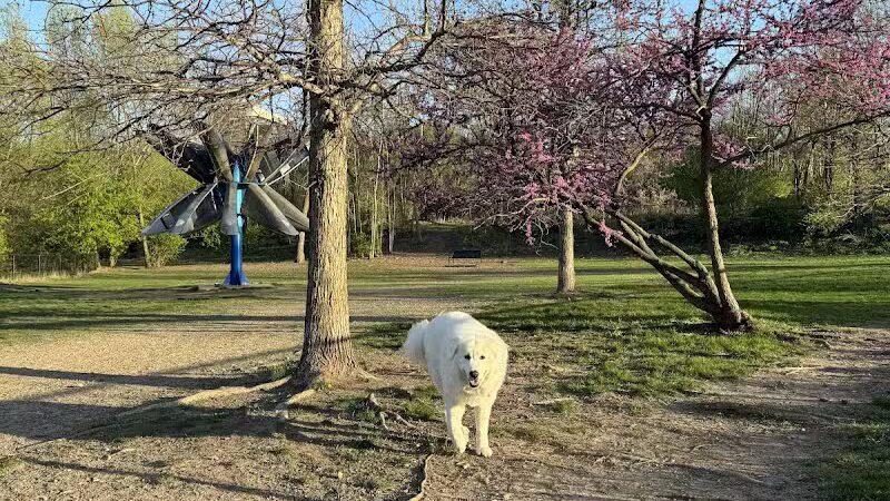 Broadway Park - Ann Arbor,