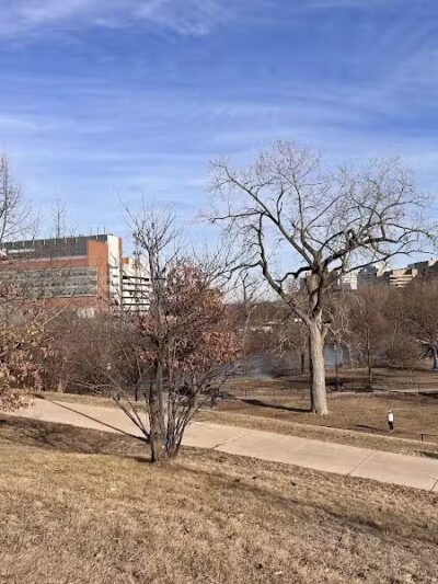 Broadway Park - Ann Arbor,