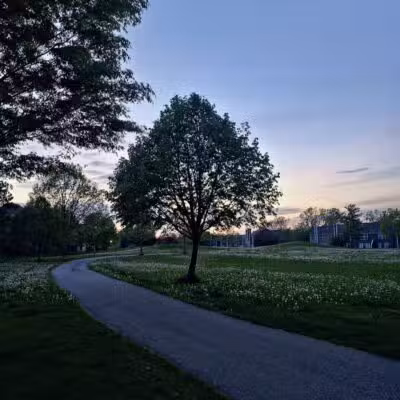 Cranbrook Park - Ann Arbor,