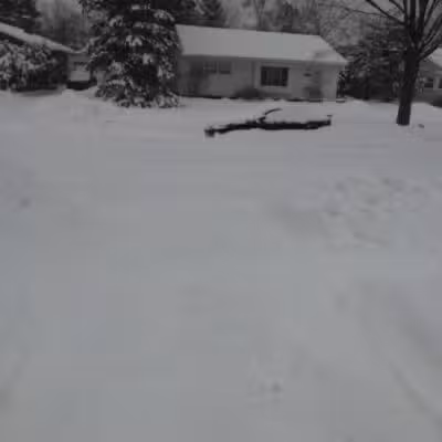 Creal Park - Ann Arbor,