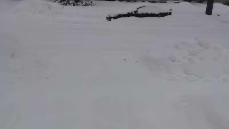 Creal Park - Ann Arbor,