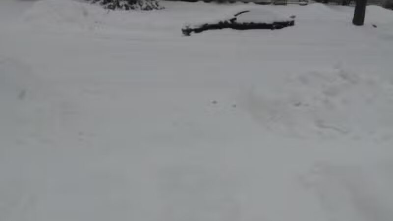 Creal Park - Ann Arbor,