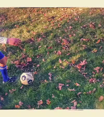 Creal Park - Ann Arbor,