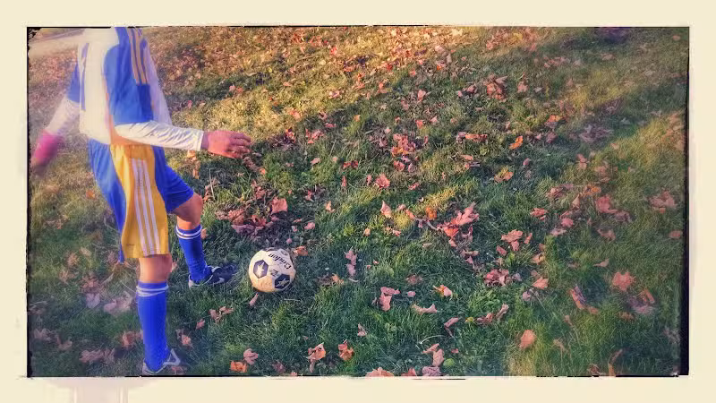 Creal Park - Ann Arbor,