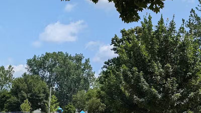 Creal Park - Ann Arbor,