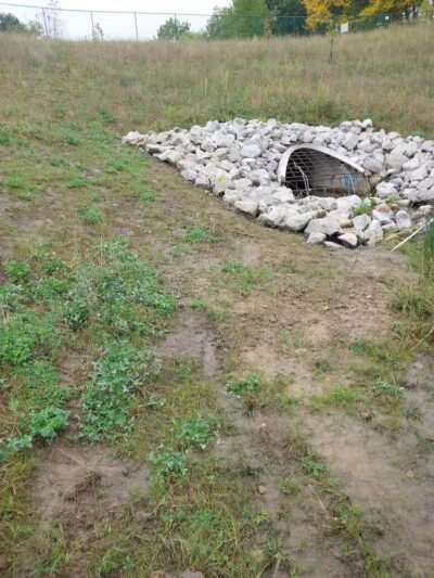 Eisenhower Park - Ann Arbor,