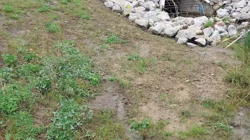 Eisenhower Park - Ann Arbor,