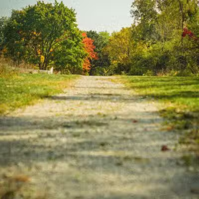 Eisenhower Park - Ann Arbor,