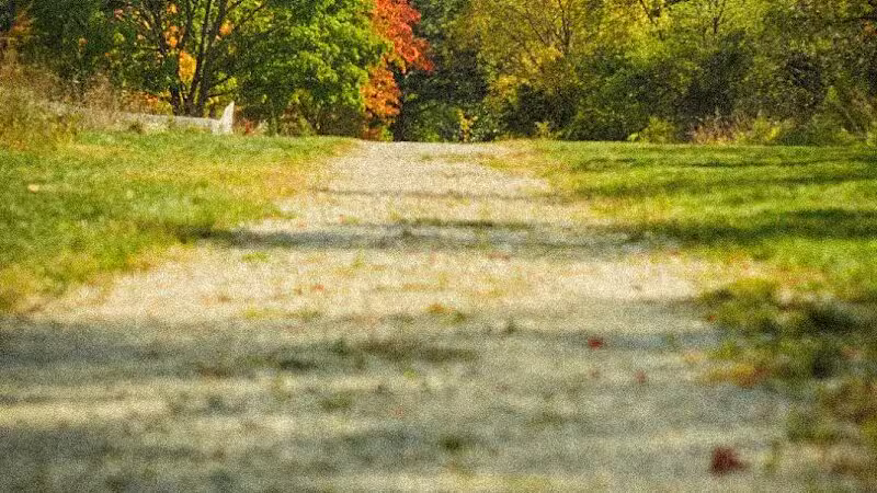 Eisenhower Park - Ann Arbor,