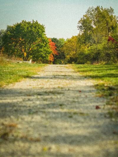 Eisenhower Park - Ann Arbor,
