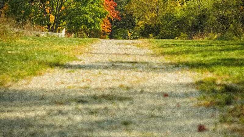 Eisenhower Park - Ann Arbor,