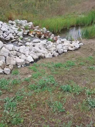 Eisenhower Park - Ann Arbor,