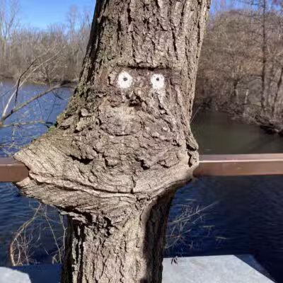 Gallup Park - Ann Arbor,