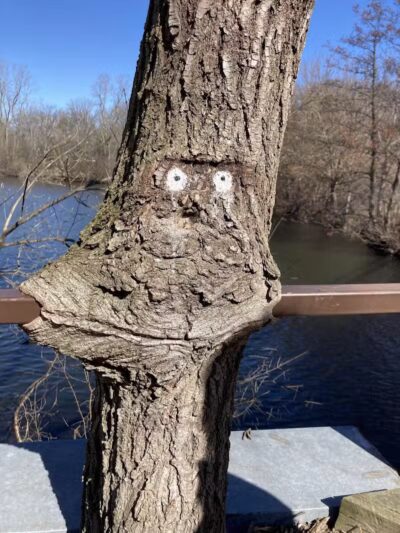 Gallup Park - Ann Arbor,