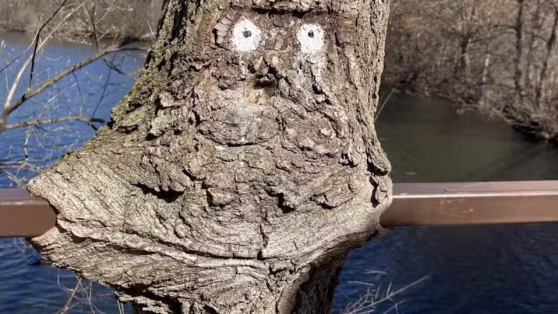 Gallup Park - Ann Arbor,