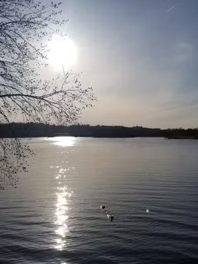 Gallup Park - Ann Arbor,
