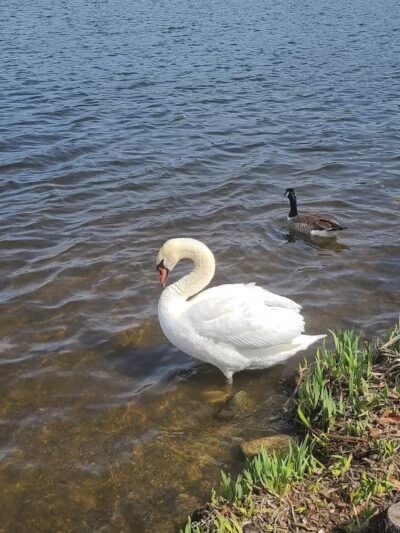 Gallup Park - Ann Arbor,