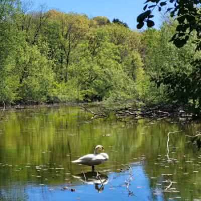 Gallup Park - Ann Arbor,