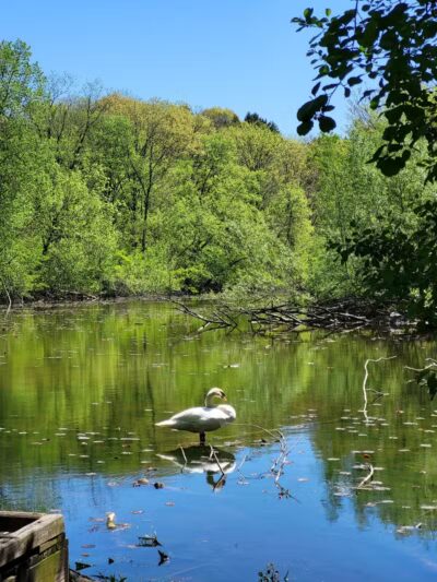 Gallup Park - Ann Arbor,