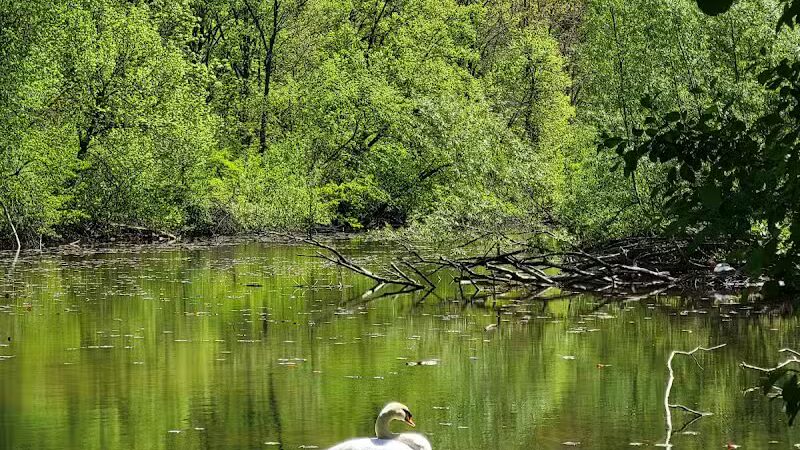 Gallup Park - Ann Arbor,