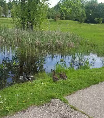 Garden Homes Park - Ann Arbor,