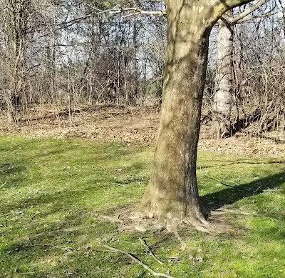 Greenbrier Park - Ann Arbor,