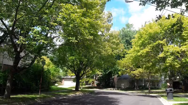 Greenbrier Park - Ann Arbor,