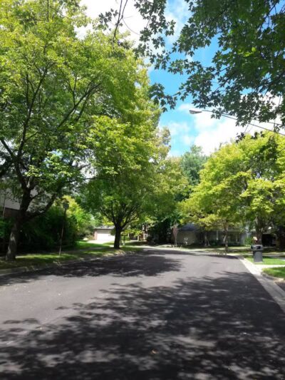 Greenbrier Park - Ann Arbor,