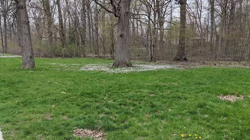 Hollywood Park - Ann Arbor,