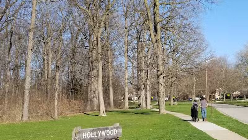 Hollywood Park - Ann Arbor,