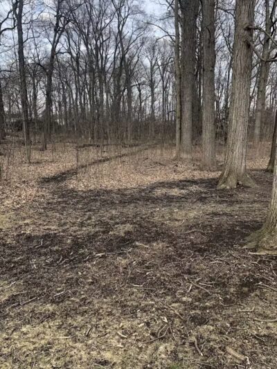 Hollywood Park - Ann Arbor,