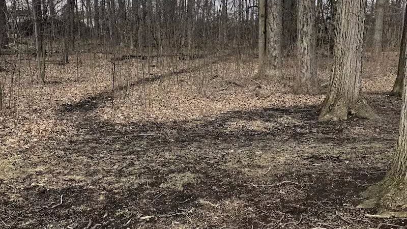 Hollywood Park - Ann Arbor,