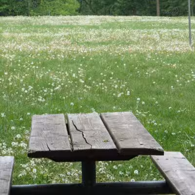 Maryfield Wildwood Park - Ann Arbor,
