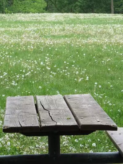 Maryfield Wildwood Park - Ann Arbor,