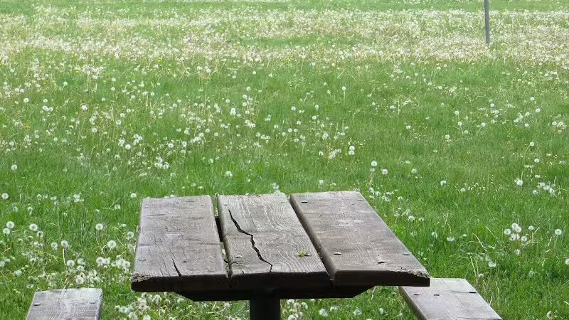 Maryfield Wildwood Park - Ann Arbor,