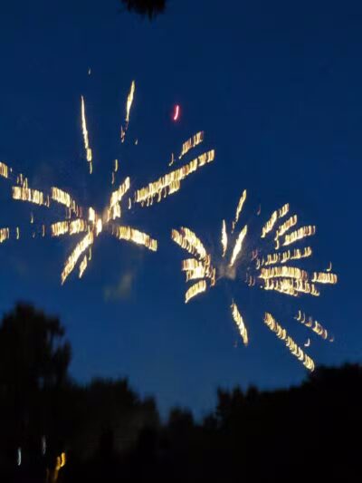 Maryfield Wildwood Park - Ann Arbor,