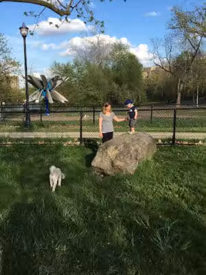 Broadway Park - Ann Arbor,