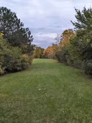 Eisenhower Park - Ann Arbor,