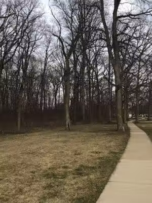Hollywood Park - Ann Arbor,