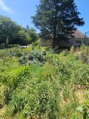 Northside Park - Ann Arbor,