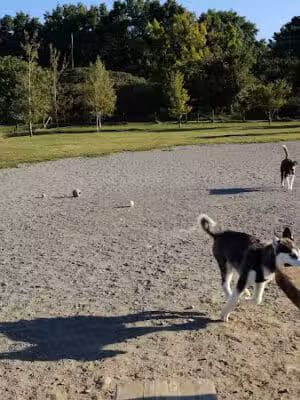 Olson Dog Park - Ann Arbor,