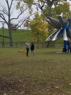 Riverside Park - Ann Arbor,