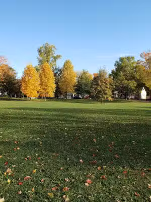 Wellington Park - Ann Arbor,