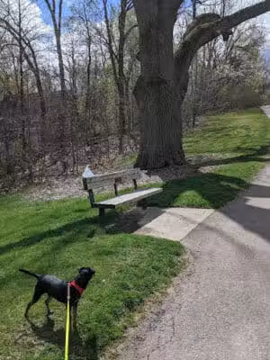 Wurster Park - Ann Arbor,