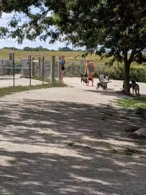 Swift Run Dog Park - Ann Arbor, MI
