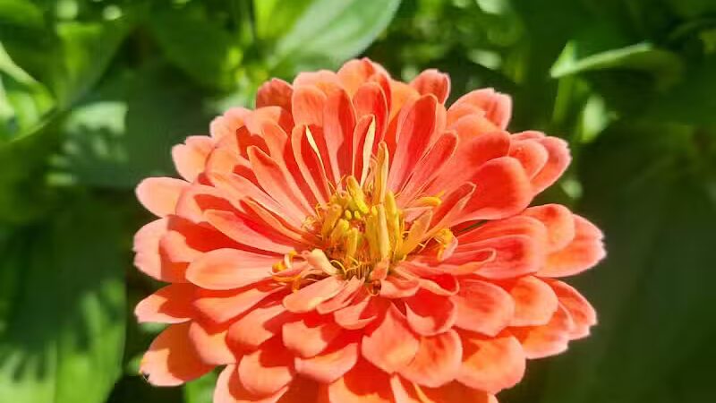 Northside Park - Ann Arbor,