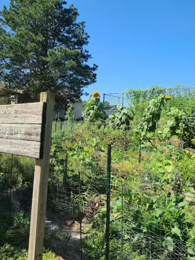 Northside Park - Ann Arbor,