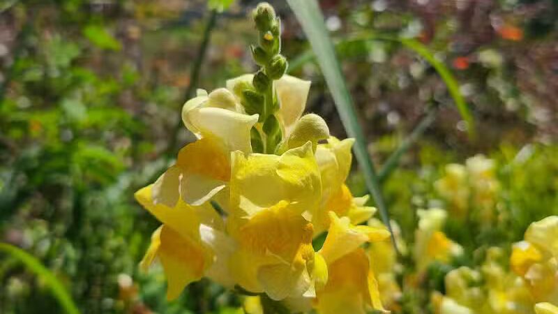 Northside Park - Ann Arbor,