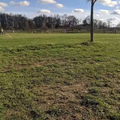 Olson Dog Park - Ann Arbor,